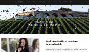 azienda-nicola-di-sipio-wine-vino-abruzzo-comunicazione-umanistica-integrata-6